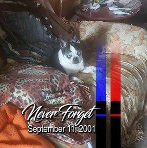 Meet your Posher, Brad